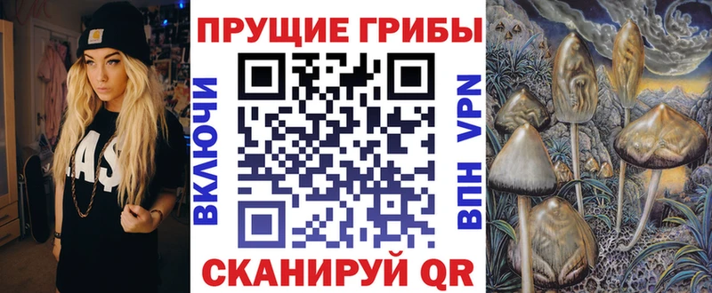 Псилоцибиновые грибы GOLDEN TEACHER  Купить где  Вичуга 